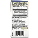 Підтримка моторики ШКТ та травлення, Gut Motility, Enzymedica, 30 капсул, фото 3