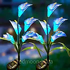 Садовий світильник із сонячною панеллю 42,5см (1шт) Calla Lily, Лілія, Блакитний / Газонний ліхтар для саду, фото 6
