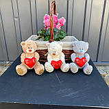 М'яка іграшка Тедді міні 20см, фото 2