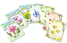 Настільна гра Овва, орхідеї! (Oh my. Orchids!), фото 4