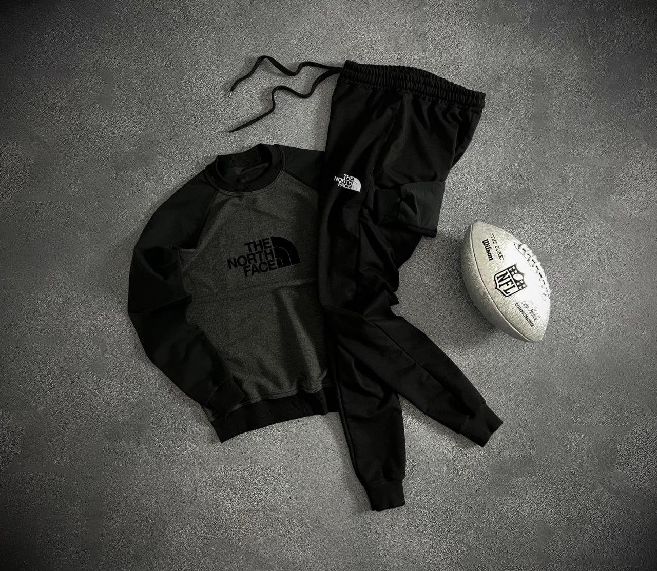 Спортивний костюм чоловічий The North Face толстовка і штани осінній весняний тнф графіт