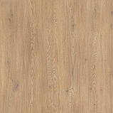 Стіл обідній лофт Неман ЛОРД 1180x600 Дуб кремона торро/Чорний, фото 2