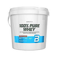 Pure Whey - 4000g Hazelnut