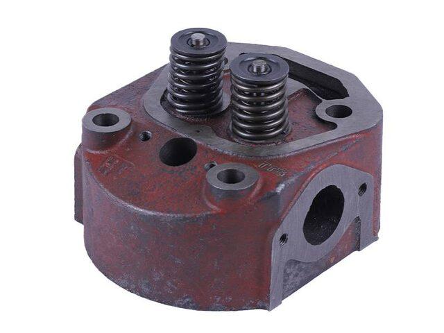 Головка циліндра в складі (на мототрактор під форсунку діаметр 21 мм) — 192N — TTG, фото 1