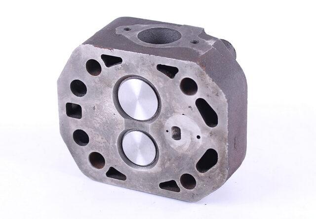 Головка циліндра в збірі TTG на дизельний двигун 195N/ZUBR, тип 2, фото 1