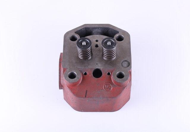 Головка циліндра у зборі ТАТА 195N ZUBR на мототрактор (під форсунку 21 мм), фото 1