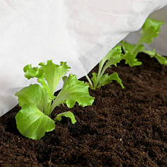 Агроволокно Agrispan (Україна)