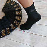 Шкарпетки чоловічі класика Люкс Еліт 27-29 (42-45 за взуттям) асорті | 12 пар, фото 2