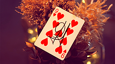 Маркована колода | My Power Deck by Jordan Victoria (Blue), фото 3