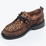 Жіночі замшеві лофери ботінки туфлі коричневого кольору з леопардовим принтом 53201/347/245 розмір 36, фото 9