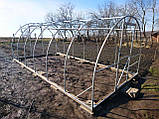 Каркас теплиці "Файна" 3х4 м. з оцинкованої труби 30х20 мм., фото 5
