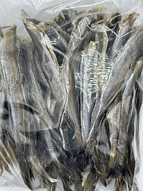 Спинка тунця 1000 г