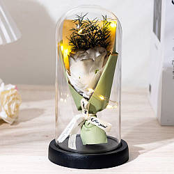 Мильний букет у колбі з підсвіткою, 21 см, Зелений/Вічна троянда в скляному склепінні