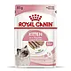 Акція! Вологий корм Royal Canin Kitten (Роял Канін Кітен) паштет для кошенят, 85 гр 9 + 3 шт у подарунок, фото 4