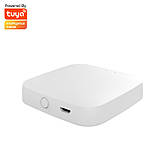 Розумний хаб Tuya Smart Gateway W-BG003 з підтримкою Wi-Fi 2.4 ГГц і Bluetooth, модель для керування розумним будинком, фото 6