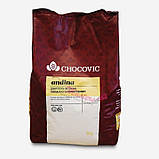 Білий шоколад Andina 22,5% , дропси термостабільні 100 грам, фото 2