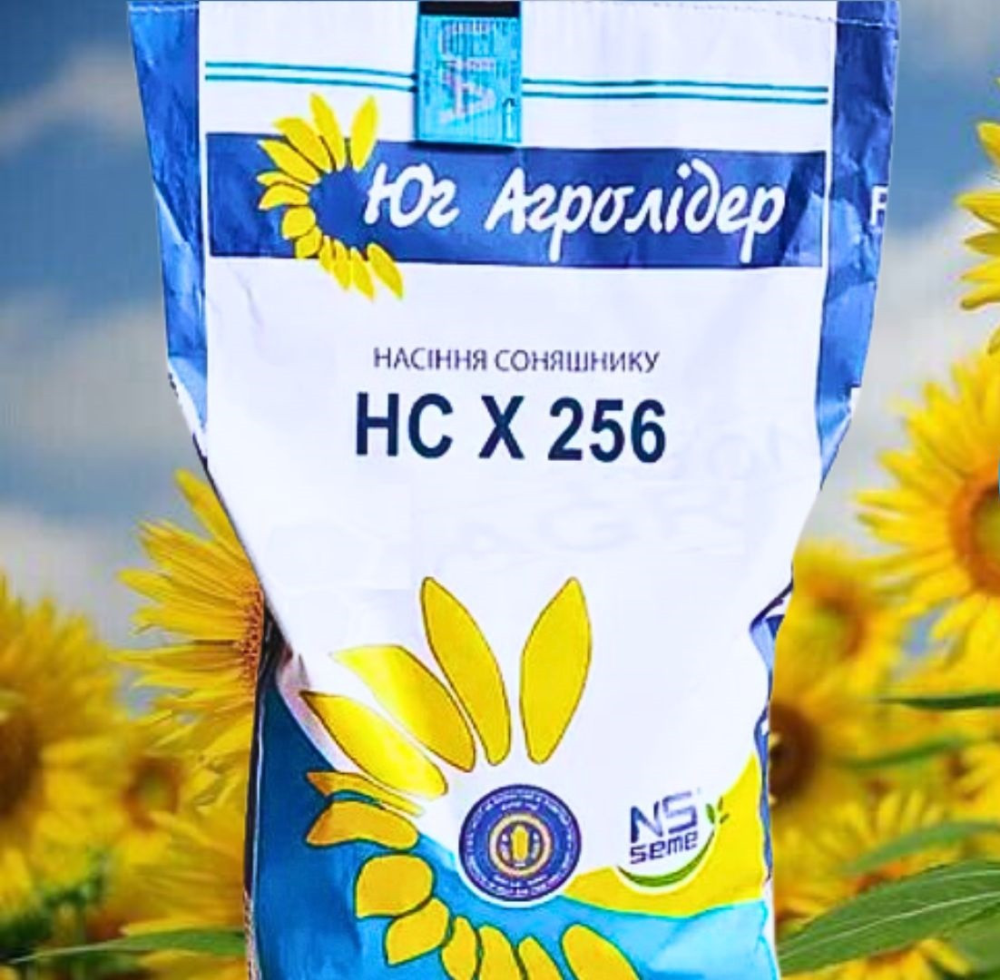 Насіння соняшника НС Х 256, під гербіцид Гранстар, 120-125 днів