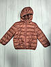 Куртка теракотова я в зірки Tex 110, 122, 140см, фото 2