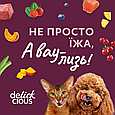 Вологий корм Delickcious з кроликом та тропічними фруктами у вершковому соусі, 80 г, фото 8