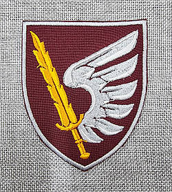 Шеврон "79 ОДШБр ДШВ ЗСУ", Парадний