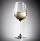 Набір келихів Pasabache для вина Allegra 350мл 2шт 440080, фото 6