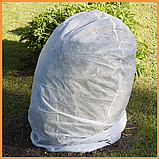 Чохли для рослин 60х70см «SHADOW» укриття троянд на зиму, фото 4