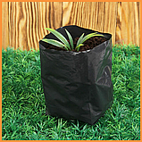 Пакет для розсади 120х500 метрів 40 мкм (чорний) рукав для розсади, фото 5