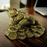 Жаба на монетах ( 6,8х 8.5х 10.4 см)