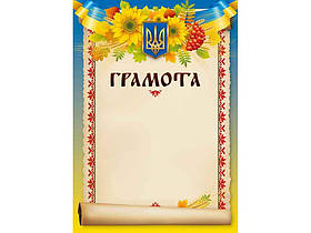 Грамоти, дипломи, подяки