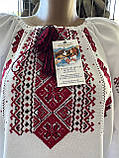 Вишиванка жіноча вишита хрестиком традиційний орнамент ручна робота розмір 50, фото 3