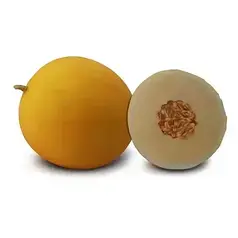 Диня Шинарі F1, 100 насінин, Kitano Seeds