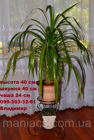 Підставка для квітів "Амфора мала на 2 квітки"