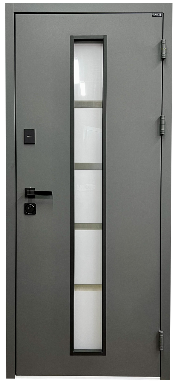 Вуличні двері PORTALA - Стріт М2, фото 1