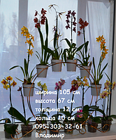 Фаленопсис-2, підставка для орхідей на 16 кілець
