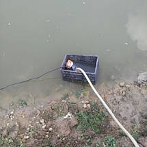 Насос для перекачування води REWOLT занурювальний 12В (RE SLW-12V), фото 5