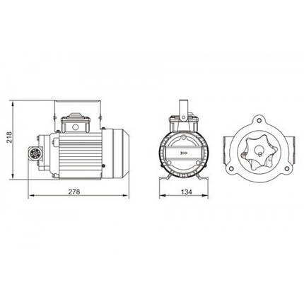 Насос перекачування олії VSO 30л/хв 220В (VS0530-220), фото 2