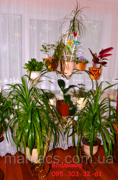 Серце-7, підставка для квітів на п'єдесталі на 15 кілець/чаш, фото 1