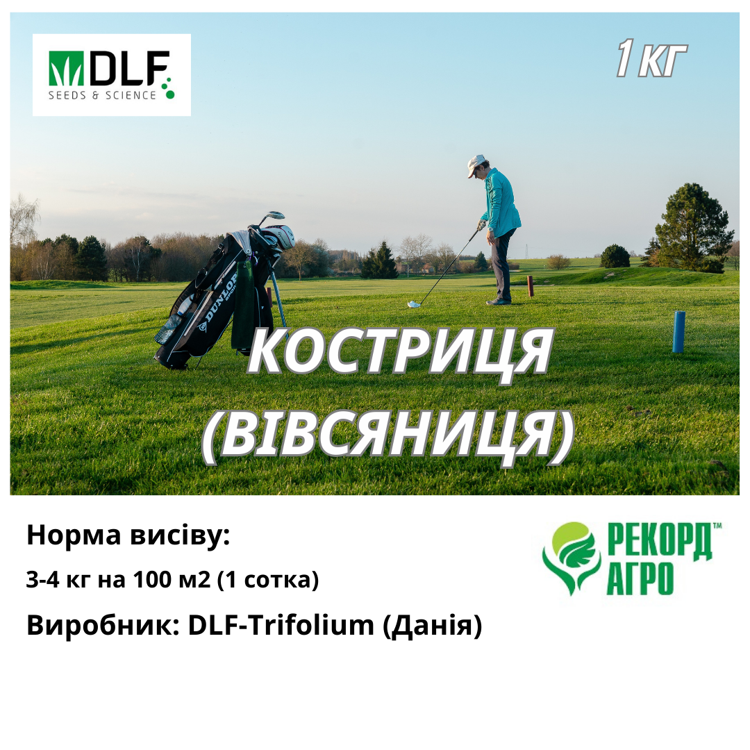 Вівсяниця (костриця) червона DLF Trifolium (ДАНІЯ) 1 кг