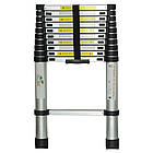 Драбина телескопічна 11 щаблів 3.2м FLORA (5033614)