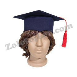 Квадратна шапка випускника для дитини