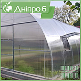 Теплиця "Дніпро-6" 6х12 м / профільна труба 30Х30 мм / стільниковий полікарбонат 6 мм, фото 2