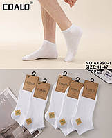 Чоловічі шкарпетки 41-47р. 10 пар білі