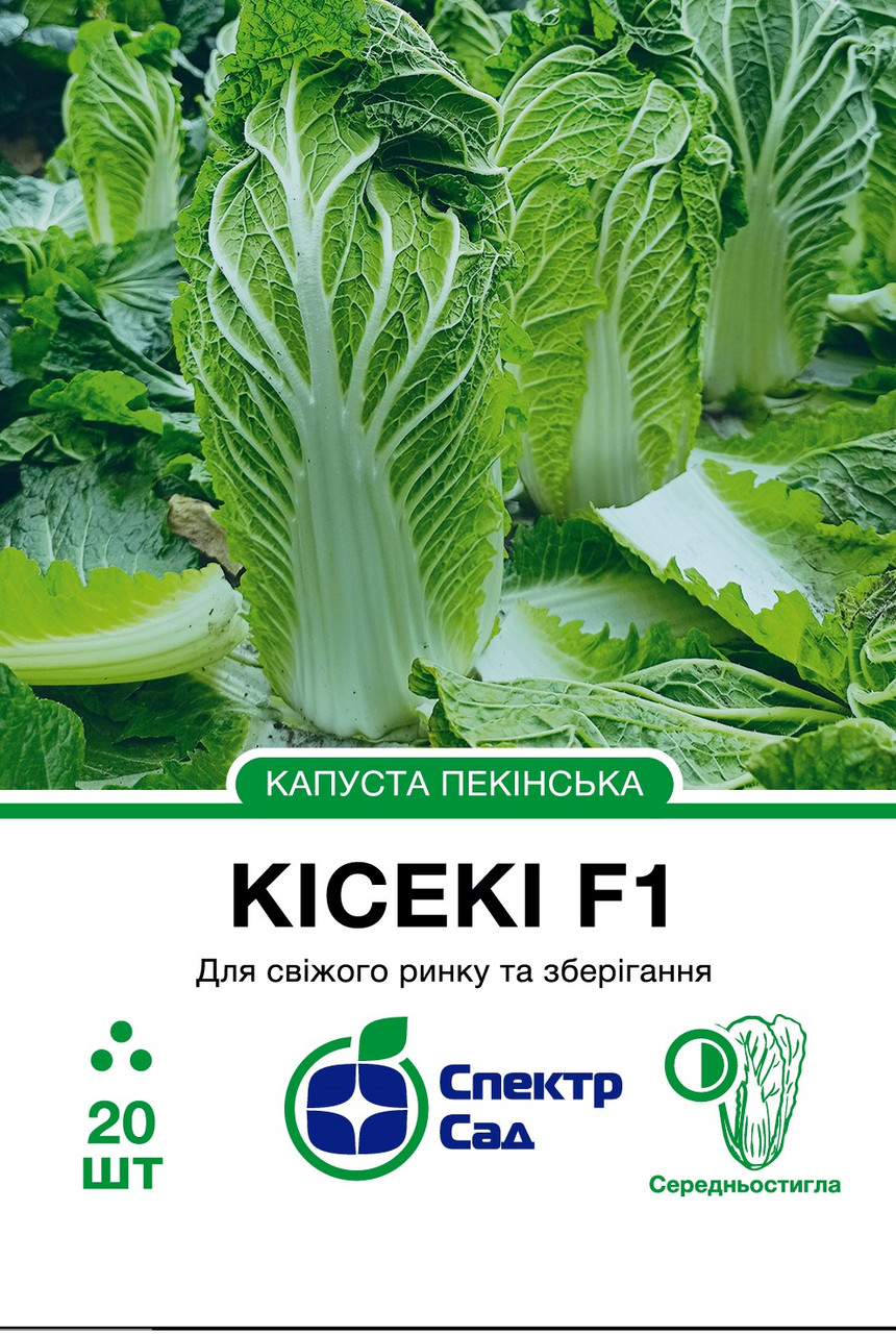 Капуста пекінська Кісекі F1 20 шт насіння пакетоване Спектр Сад