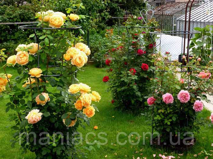 Садова велика опора для троянд, підставка для квітів
