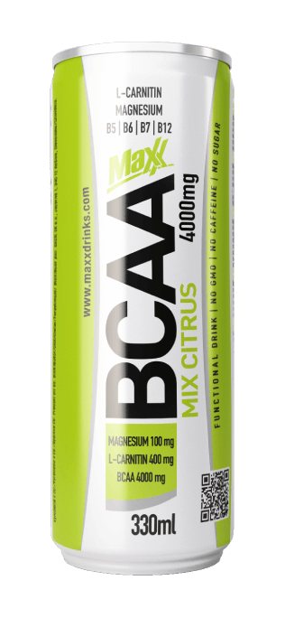 Caste SK Maxx BCAA 4000mg Vitamin Drink 24x330 ml, фото 1
