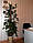 Опора-кокос для рослин, 180 см, фото 6