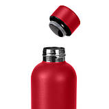 Термопляшка MORI, TM Discover, фото 2