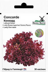 Насіння салату Конкорд 30 шт, Rijk Zwaan