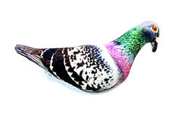 Голуб Валера, м'яка дитяча іграшка, розмір L