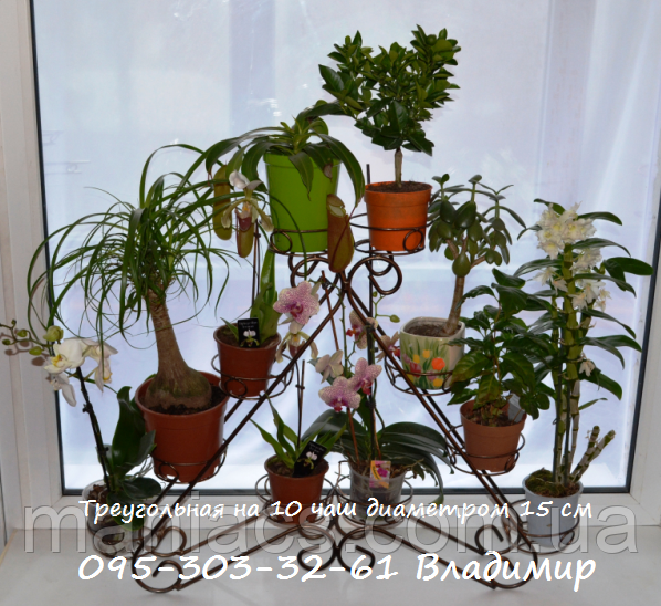 Піраміда-3, підставка для квітів на 10 чаш, фото 1